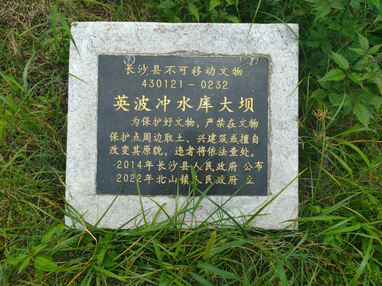 e8d4e6cda84ff6bdca966b60a9d53ef1.jpg