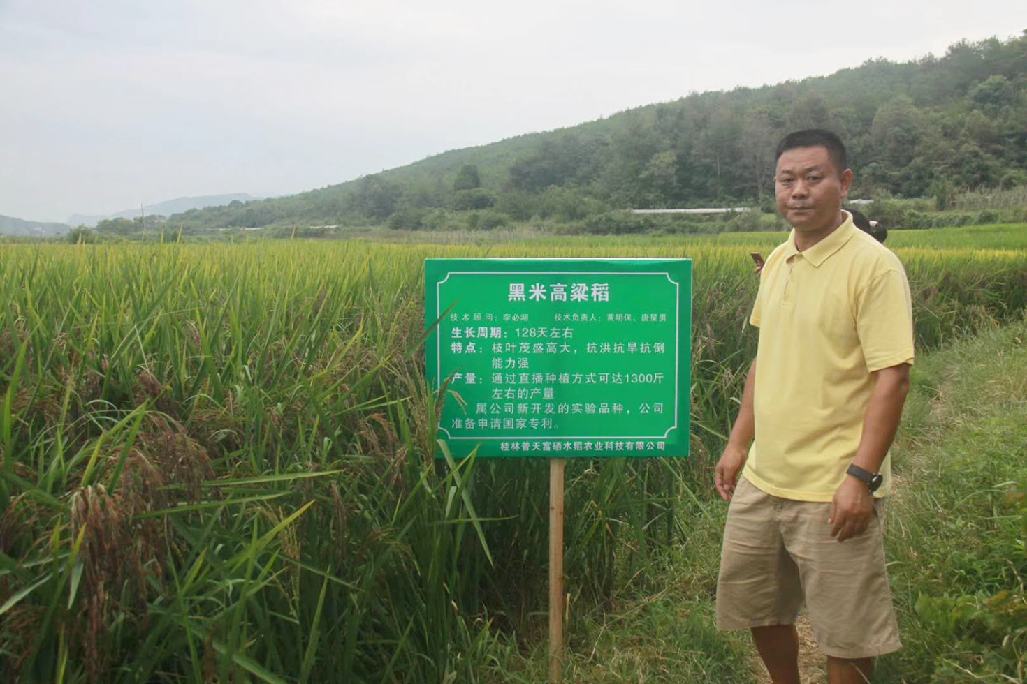 对人体健康至关重要的微量元素——硒 