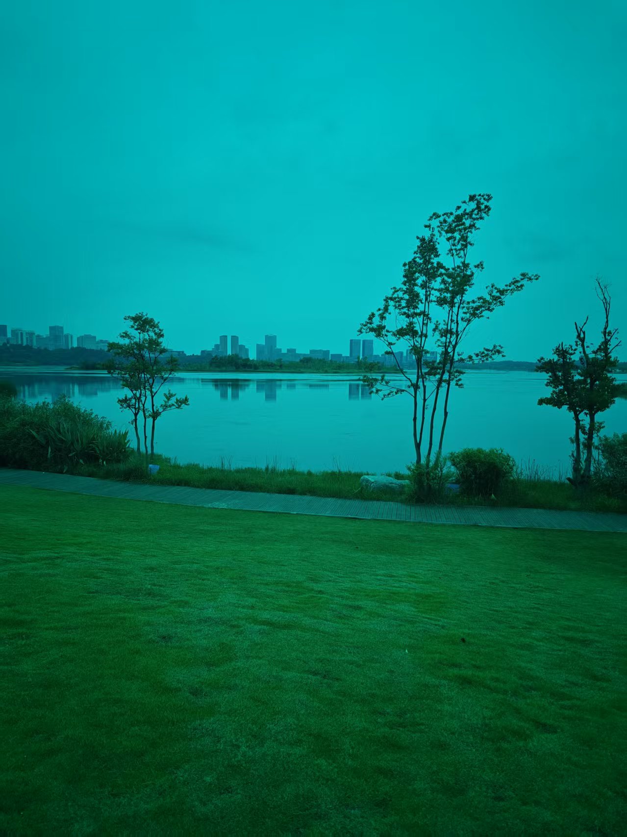 73d8aae6f560184851f2d66df41f9055.jpg