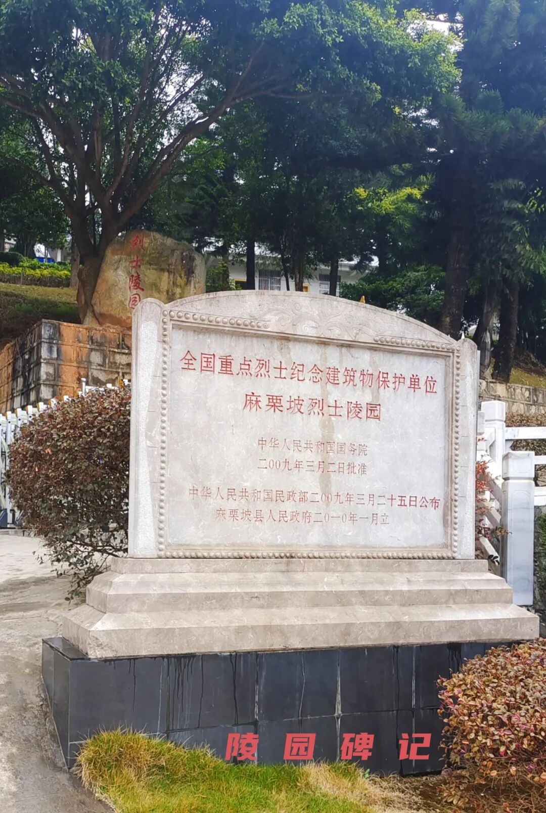 马生彪：老山行 千里情