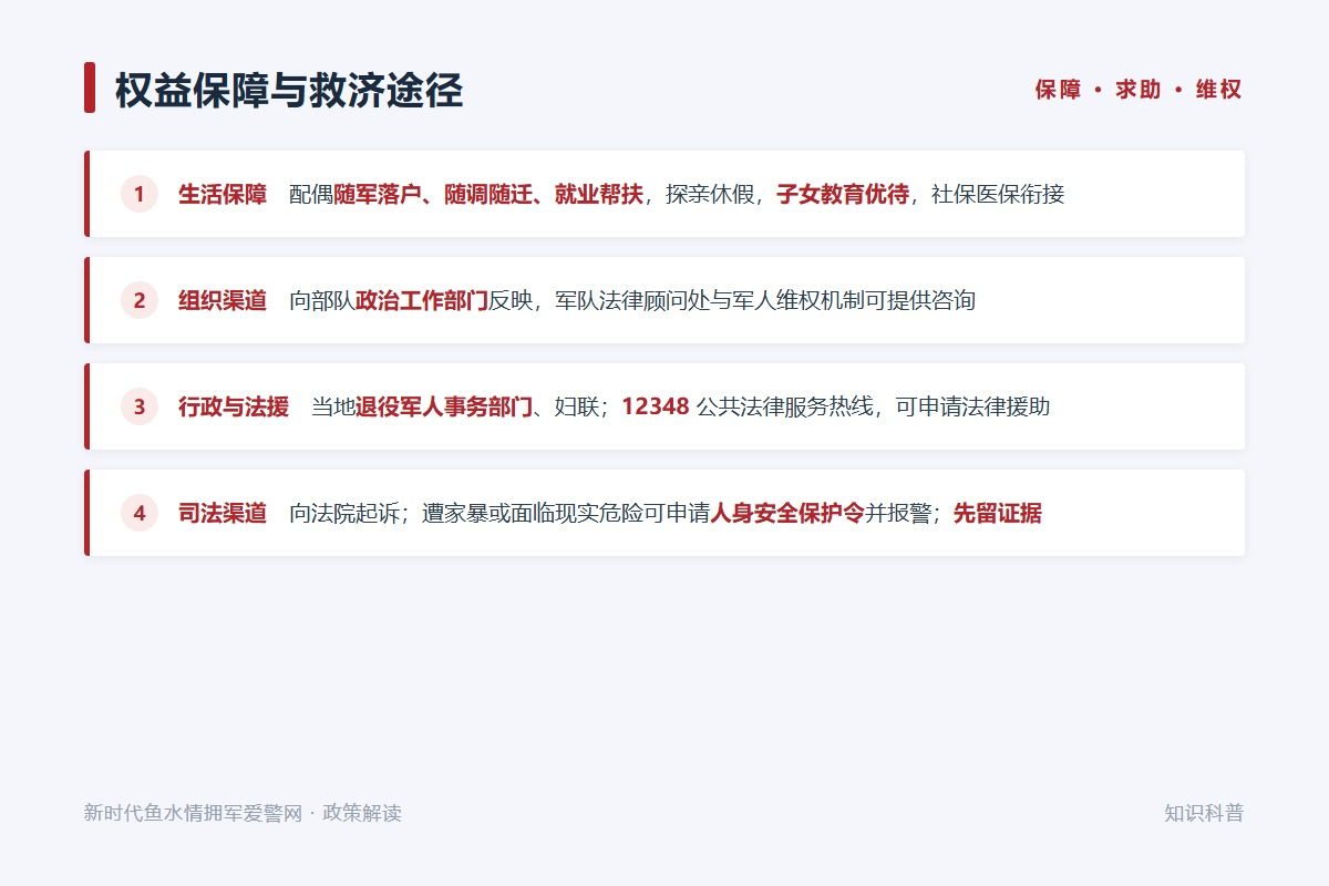 四条救济途径:组织渠道、退役军人事务部门、12348 法援、诉讼与人身安全保护令(示意图)